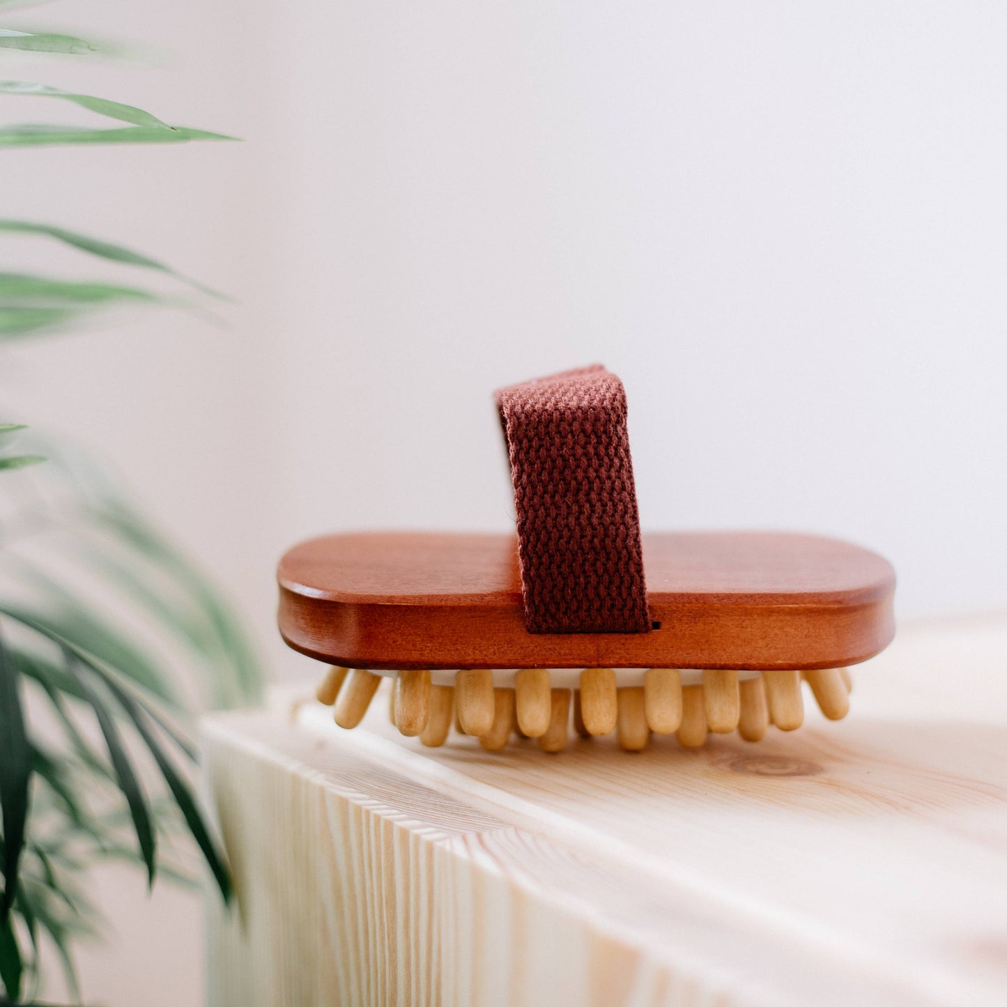 Spa gift set in bathtub, natural sustainable eco
