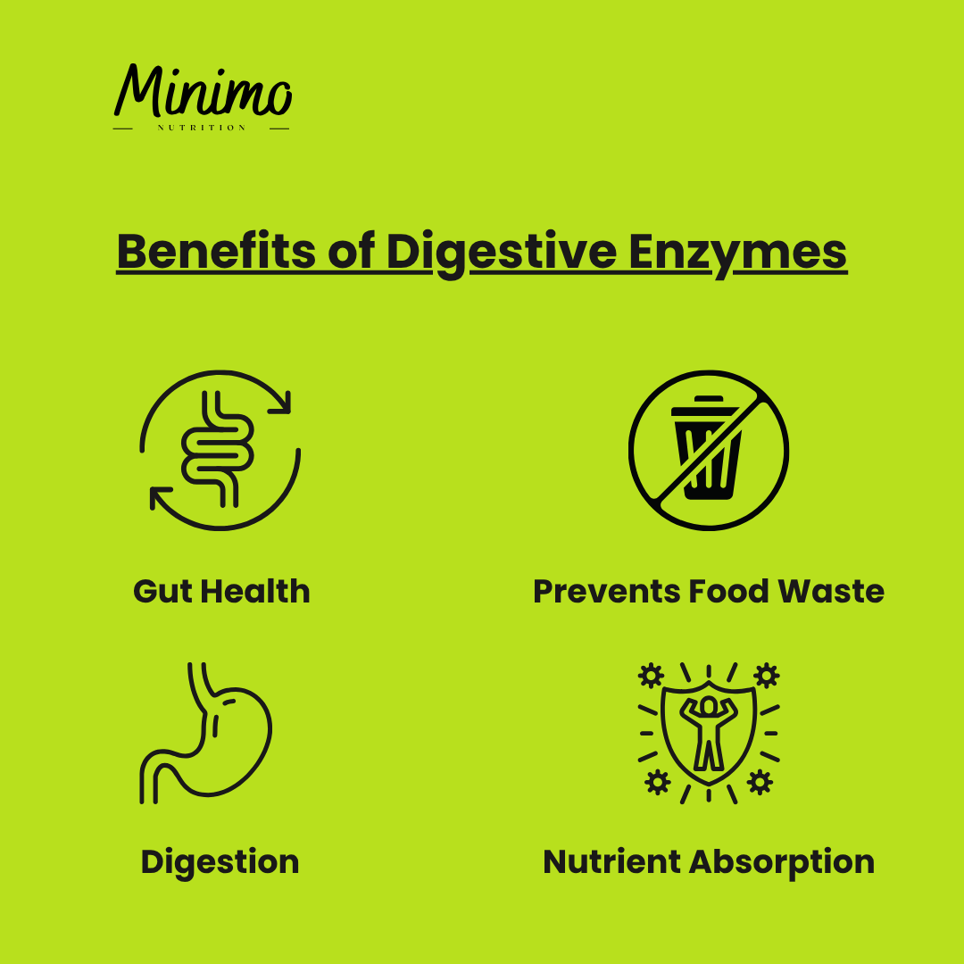 Digestive Enzyme Pro Blend, 60 ct. SUPPLEMENT