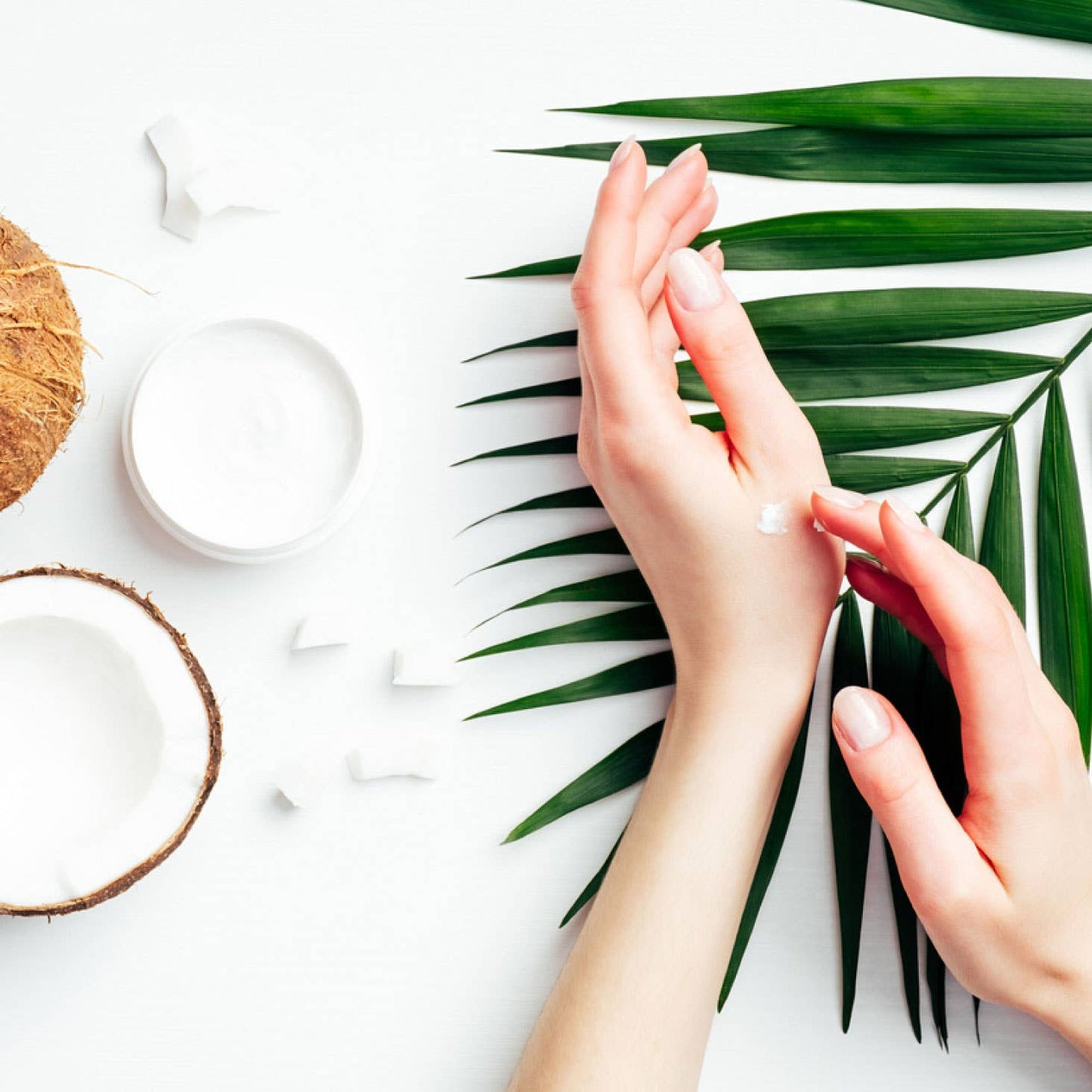 Tropical Lotion |