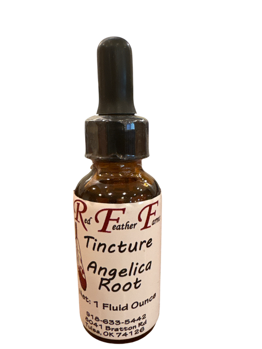 Angelica Root Tincture