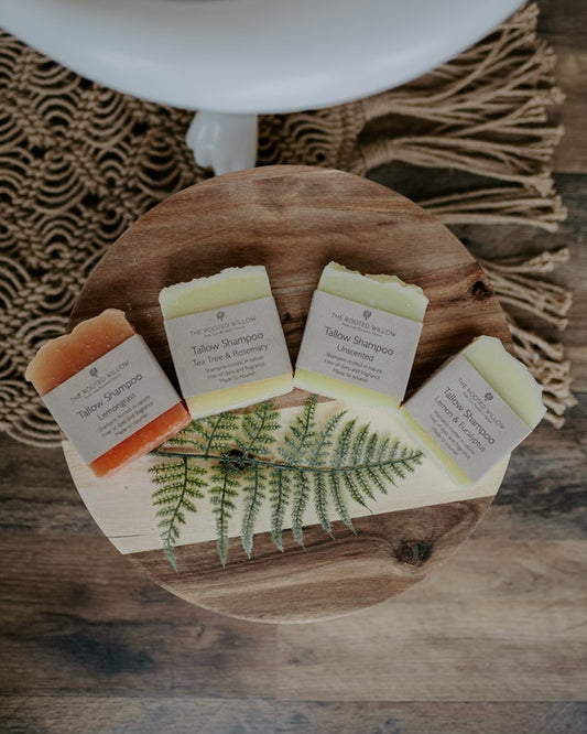 Tallow Shampoo
