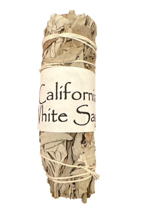 California White Sage 4”