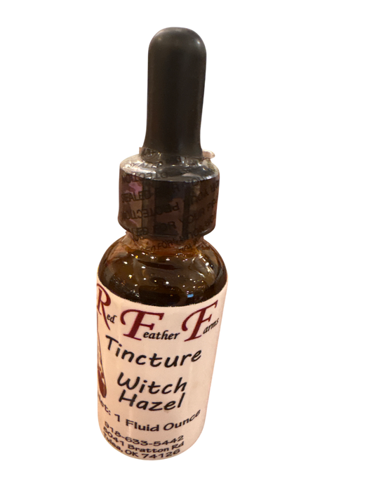 Witch Hazel