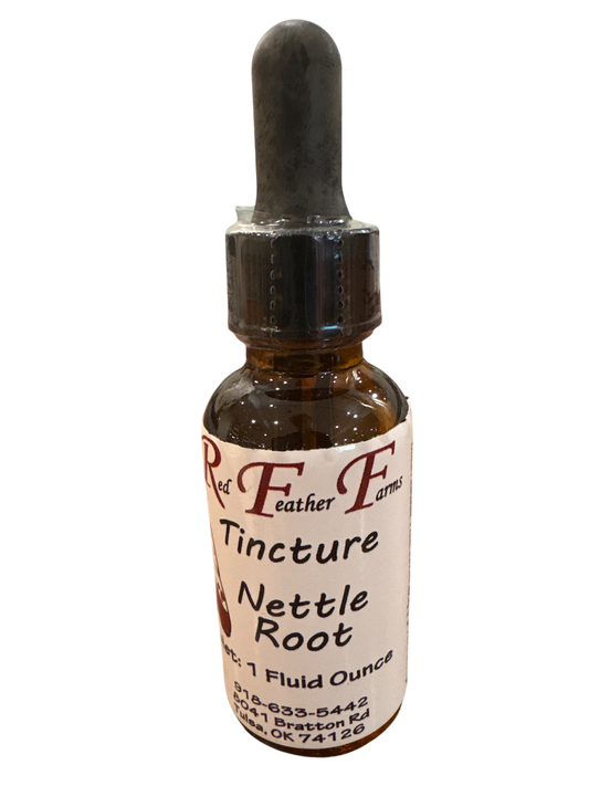 Nettle Root