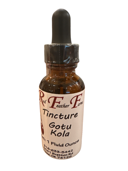 Gotu Kola Tincture