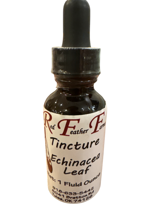 Echinacea Tincture