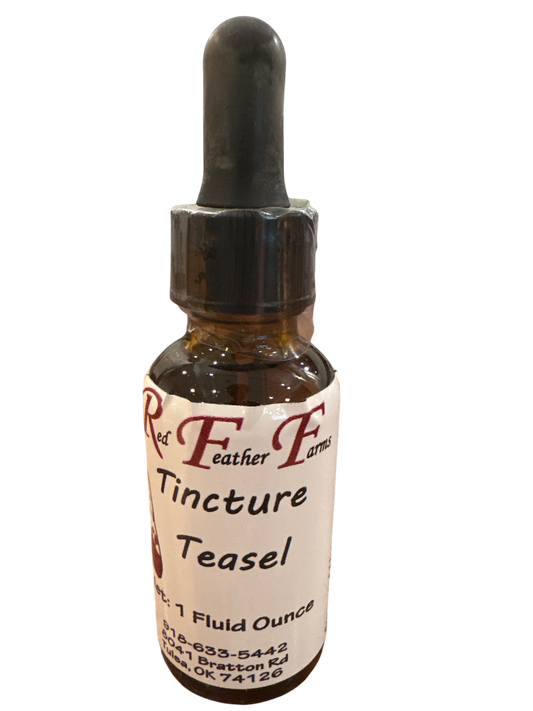 Teasel Tincture