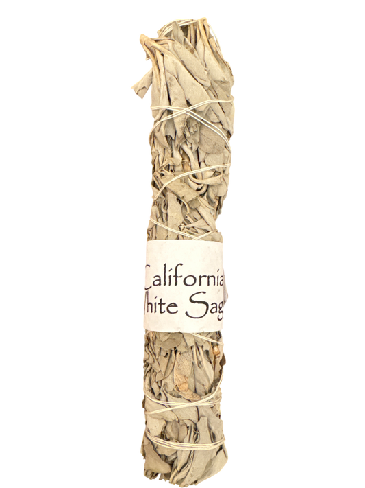 California White Sage 9”